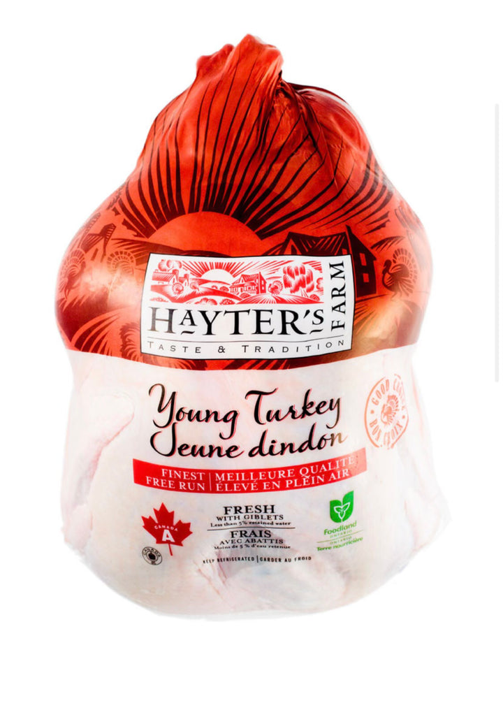 fresh-turkey