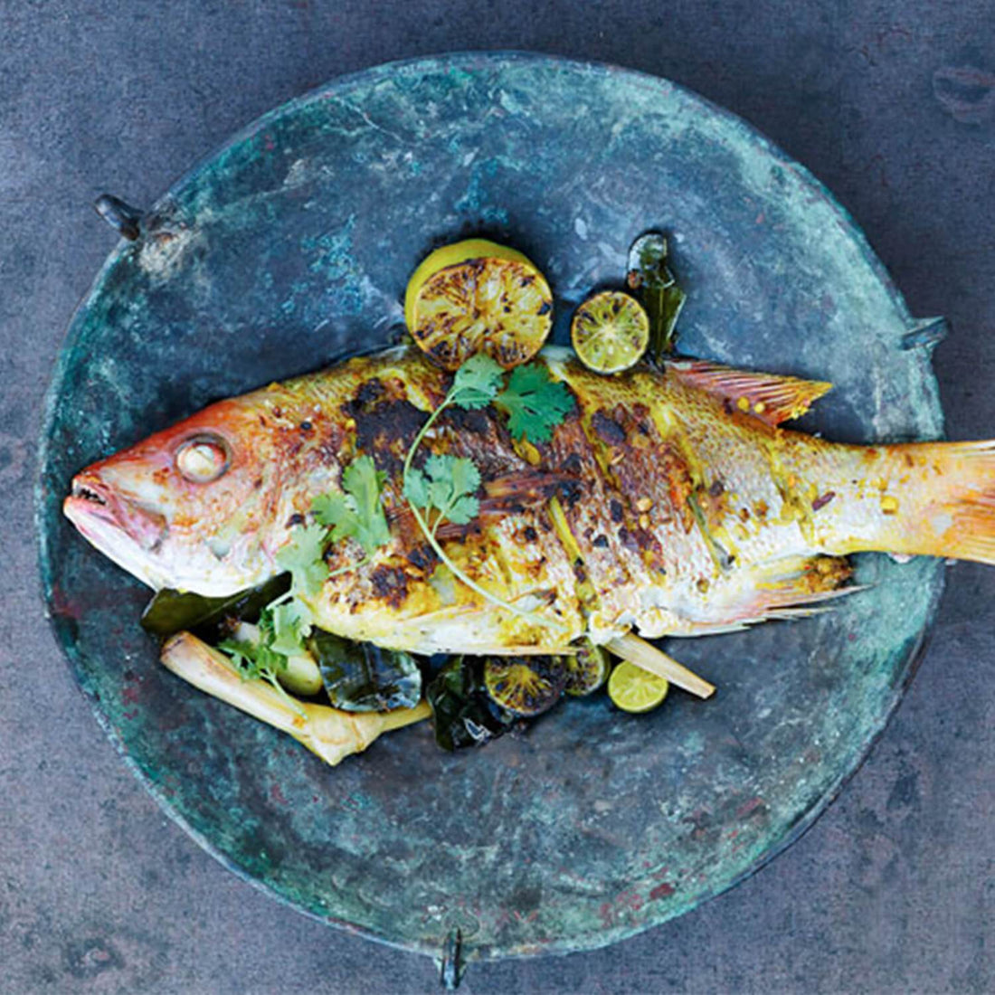 Big green egg fish sale